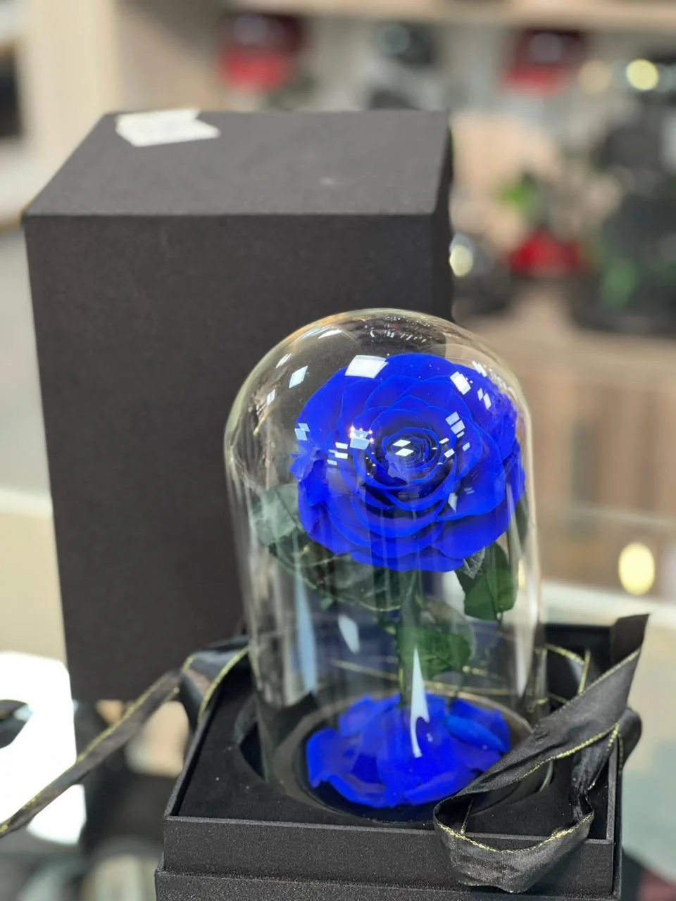 Deep-blue infinite rose under a clear dome on a dark base