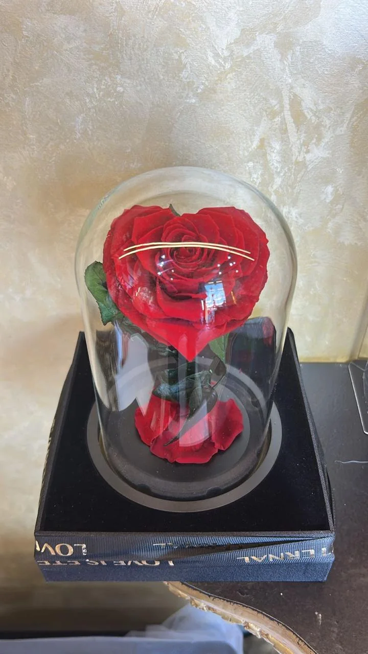 Large red infinite rose under a clear glass dome on a dark presentation box
